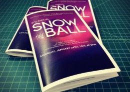 Snow Ball 2015 Program